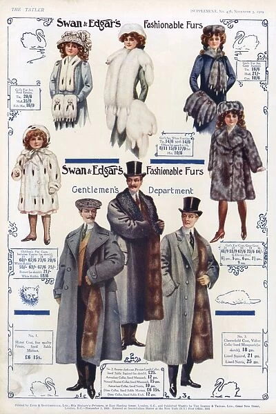 Advert for Swan & Edgar coats 1909