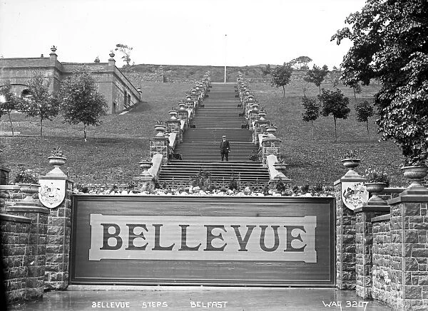 Bellevue Steps, Belfast