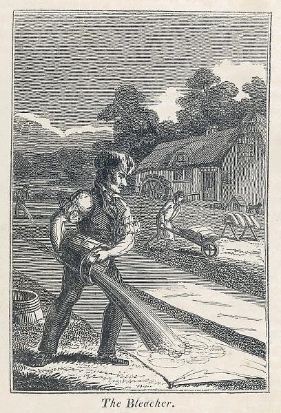 The Bleacher 1827