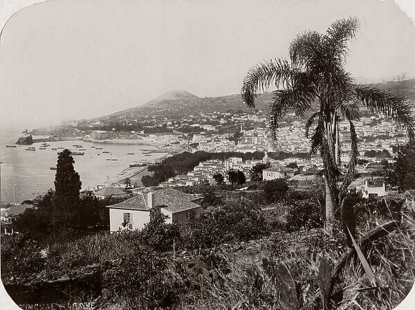 c. 1890s Portugal - island of Madeira towards Funchal