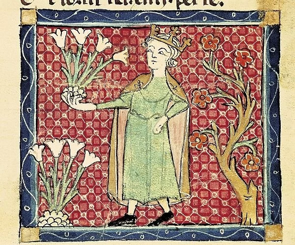 ERMENGOL DE BEZIERS (13th century)