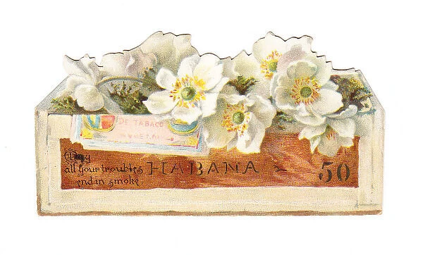 Greetings card in the shape of a cigar box