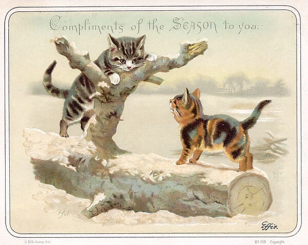 Two kittens in the snow on a Christmas card