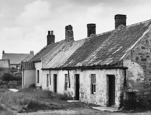 Lindisfarne Cottages
