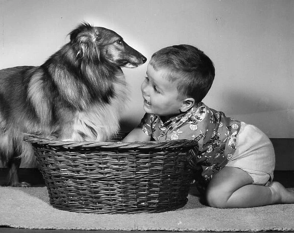 Little boy with Collie dog and basket