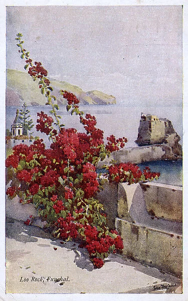 Loo Rock, Funchal, Madeira, with red flowers