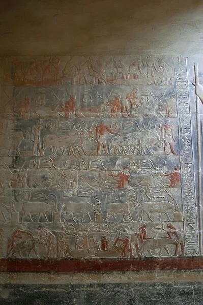 Mastaba of Mereruka. Saqqara. Egypt
