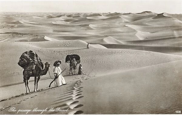 Passage Through the Desert