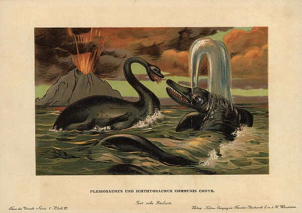 Plesiosaurus, extinct aquatic carnivore