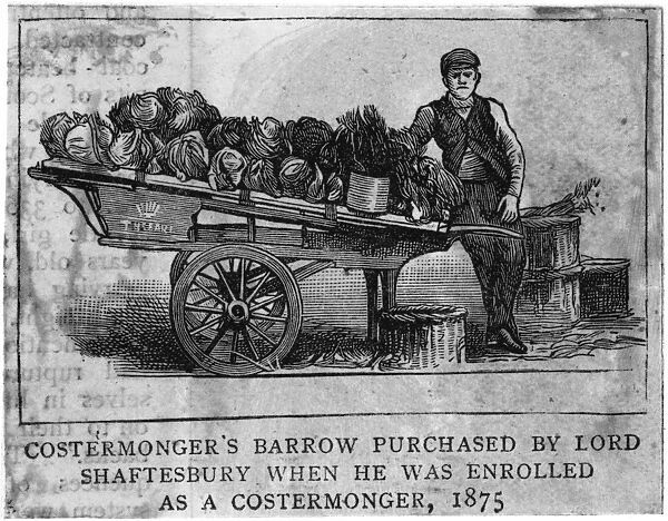 Shaftesburys Barrow