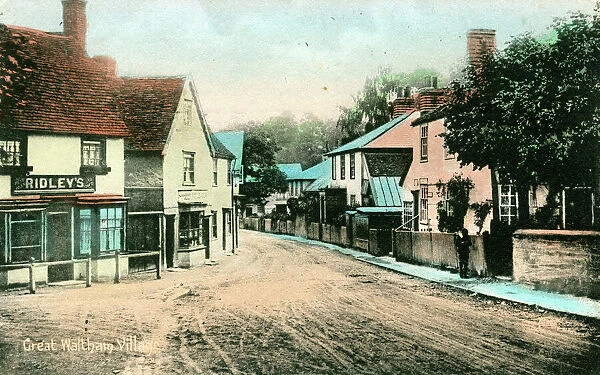 The Village, Great Waltham, Essex
