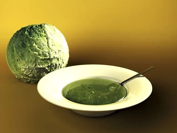 Cabbage and soup, computer artwork