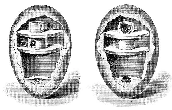 Egg-balancing toy design, 1893 C013  /  9112