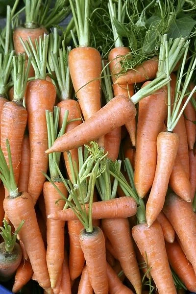 Stack of orange carrots