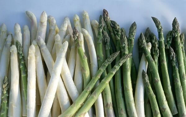 White and green asparagus C014  /  1517