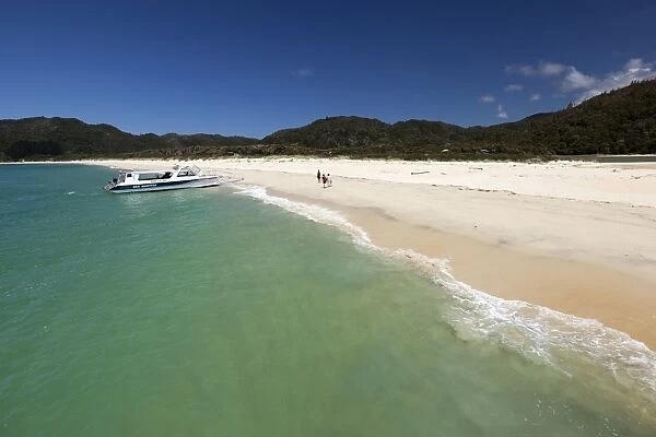 Awaroa beach, Abel Tasman National Park, Nelson region, South Island, New Zealand, Pacific