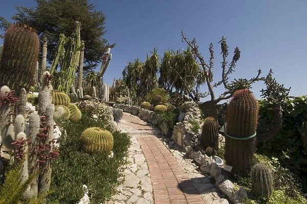 Botanic garden (Jardin Exotique), Eze village, Alpes Maritimes, Provence