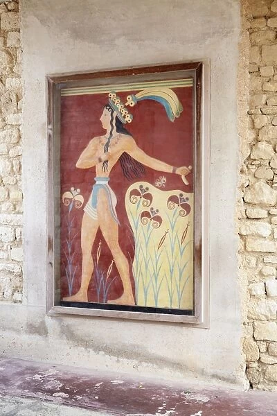 Fresco in Palace of Knossos, Iraklion (Heraklion) (Iraklio), Crete, Greek Islands, Greece, Europe
