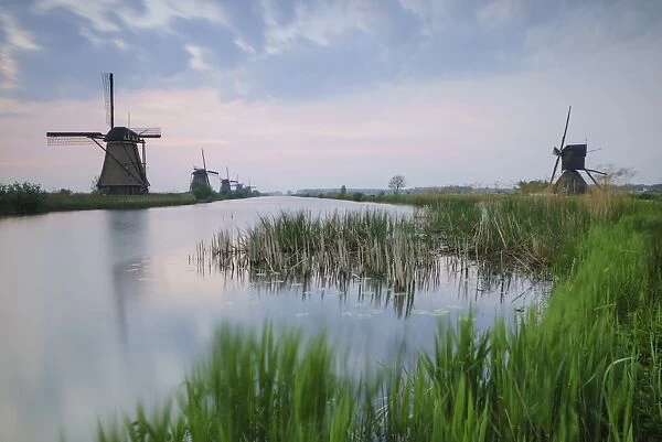Green grass frames the windmills reflected in the canal at dawn, Kinderdijk, Rotterdam