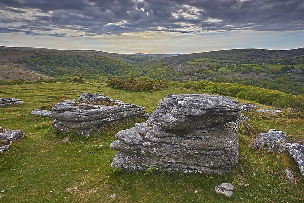 A massive granite boulder on Bench Tor, one of the classic features of Dartmoor National