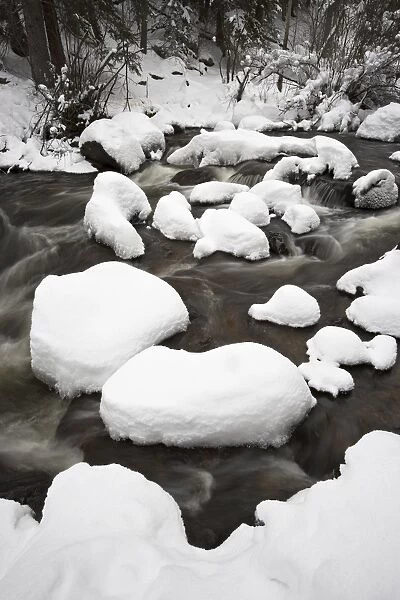 Snow-covered boulders in Glacier Creek