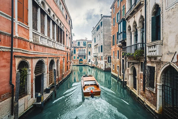 A boat cruising a green canal in Venice, Veneto, Italy
