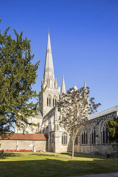 Chichester Cathedral, Chichester, West Sussex, England, UK