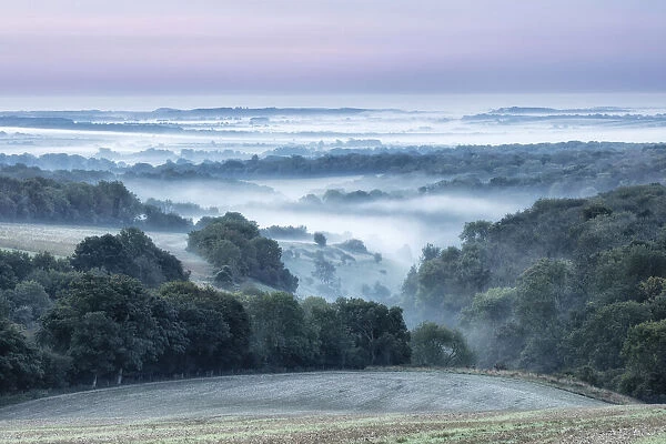 Dawn over Cranborne Chase from Trow Down, Wiltshire, England, UK