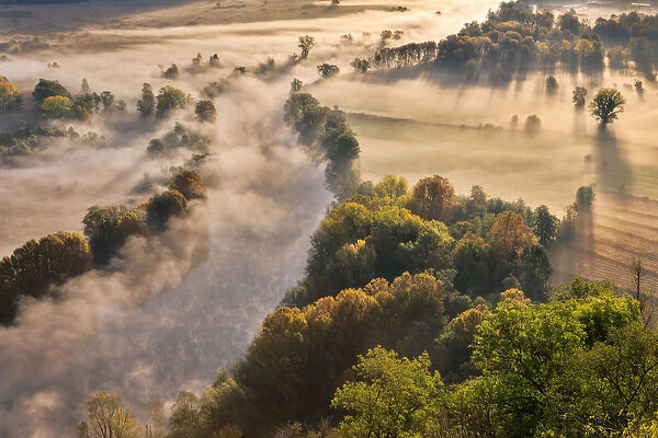 The mists of Adda river, Airuno, Adda Nord park, Lecco province, Brianza, Lombardy