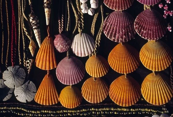 Seashell necklaces