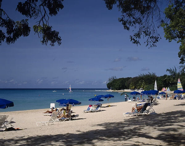 10002488. BARBADOS St James Sandy Lane beach sunbathers blue umbrellas overhanging trees