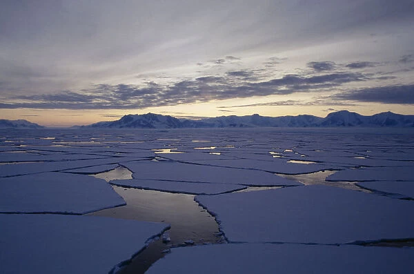 10005257. ANTARCTICA Alexander Island Broken ice flows at sunset