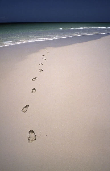 10007829. KENYA Indian Ocean Footprints in sand at the waters edge