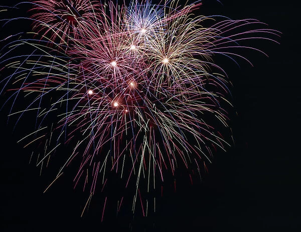 10014389. JAPAN Fireworks Hnabi fireworks designed to look like flowers
