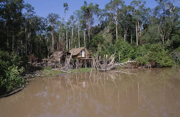 10026292. BORNEO Jungle Riverside stilt houses in small clearing