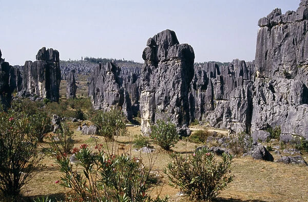 10034945. CHINA Yunnan Province Shilin The Stone Forest near Kunming