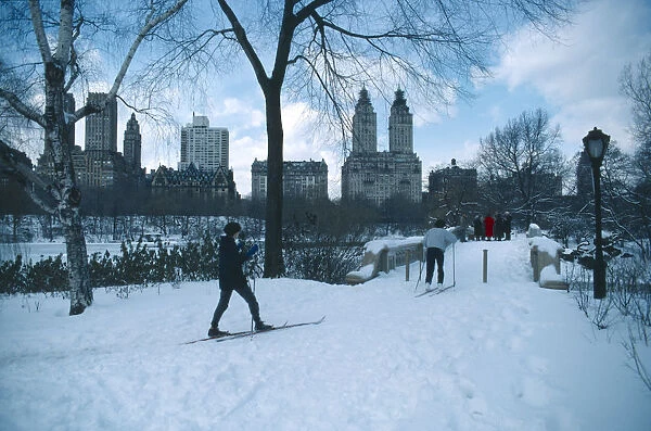 10037627. USA New York Manhattan Skiers in Central Park
