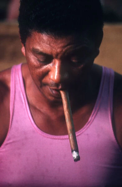 10041042. CUBA Pinar Del Rio Tobacco Man smoking in cigar factory
