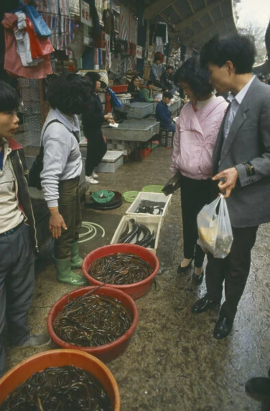 10063515. CHINA Guangzhou Eels in Market