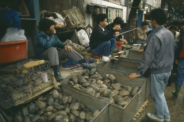 10063530. CHINA Qingping Buying Turtles