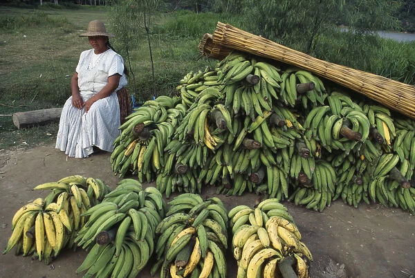 10086978. BOLIVIA Rurrenabaque Bananas seller