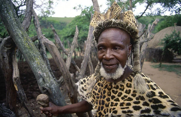 10095484. SOUTH AFRICA KwaZulu Natal Old Zulu man wearing leopard skin