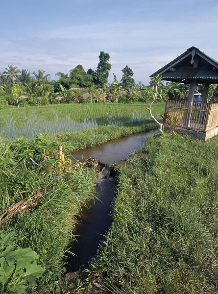 10095937. INDONESIA Bali Ubud Irrigation hut and rice field