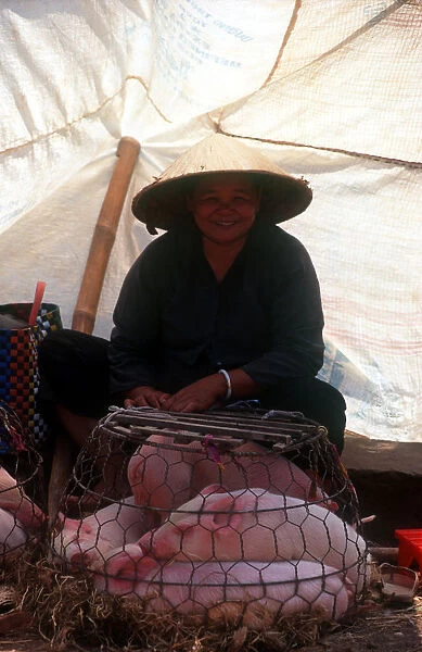 20002339. Vietnam, Ben Tre, Woman in conical hat with piglets in wire basket for market