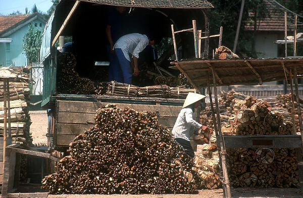 20008871. VIETNAM Dong Ha Firewood seller unloading bundles of firewood from a truck