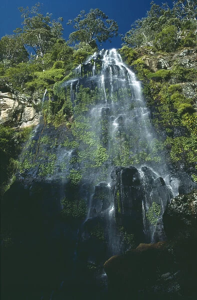 20016495. AUSTRALIA Queensland Lamington NP View looking up Moran Falls