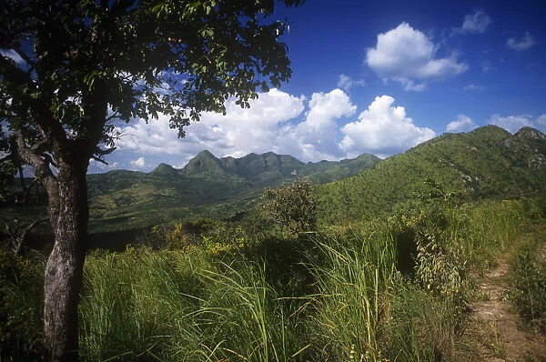 20026330. ETHIOPIA South West Highland landscape with lush vegetation