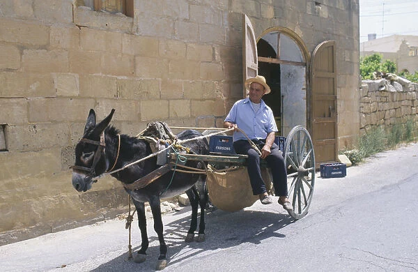 20033293. MALTA Gozo Man with donkey cart in street
