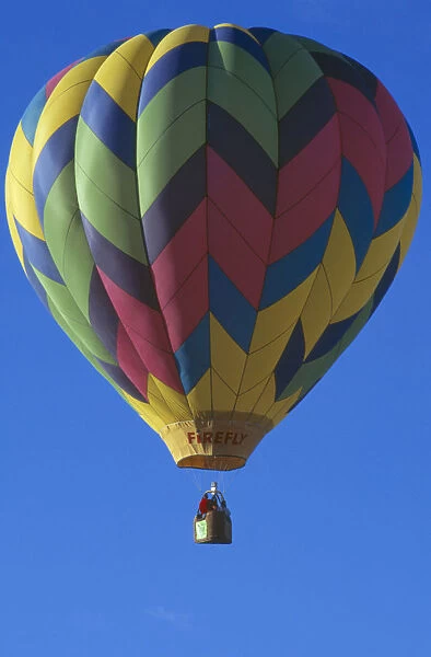 20044920. USA New Mexico Albuquerque Balloon fiesta