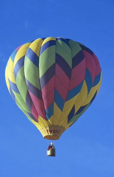 20044921. USA New Mexico Albuquerque Balloon fiesta